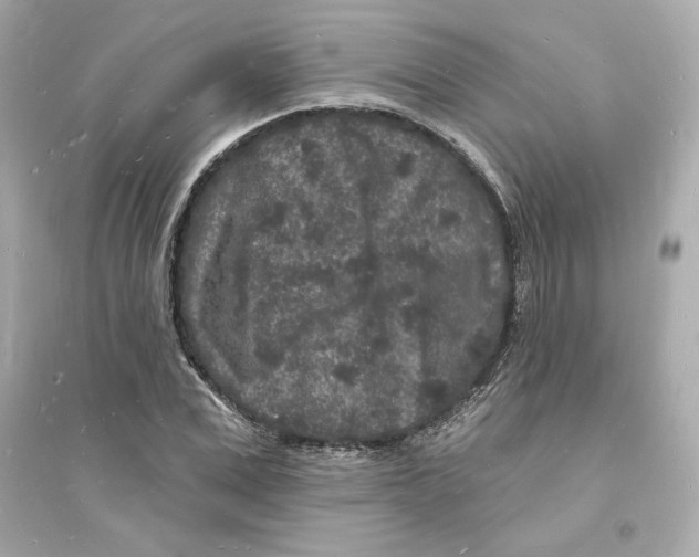 X0000093720975200711131009