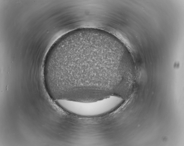 X0000093720976200711131009