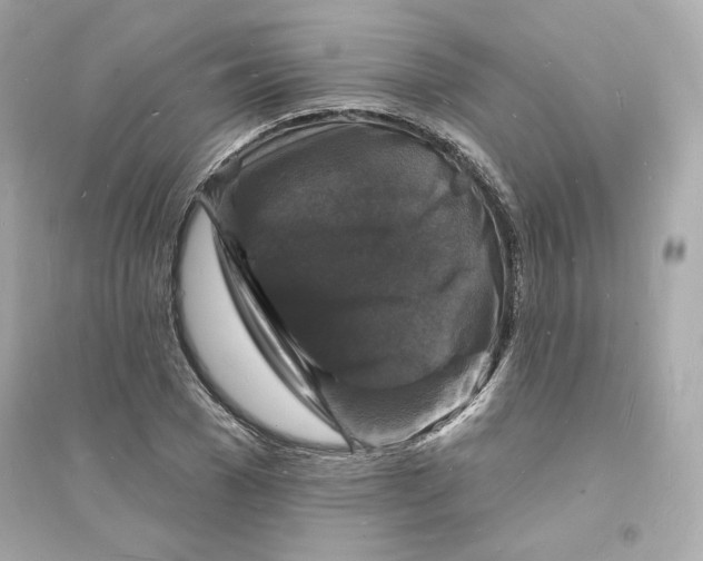 X0000093720977200711131009