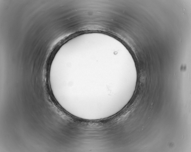 X0000093720979200711131009