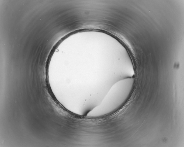 X0000093720980200711131009