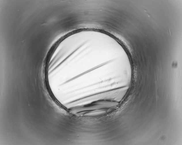 X0000093720983200711131009