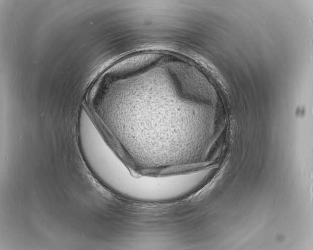 X0000093720985200711131009