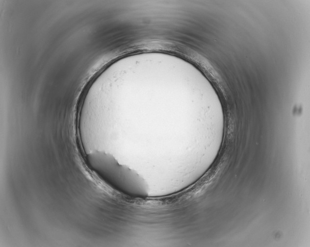 X0000093720986200711131009