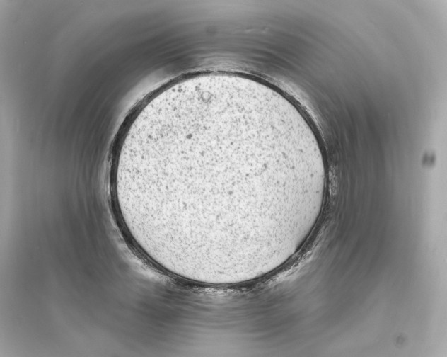 X0000093720987200711131009