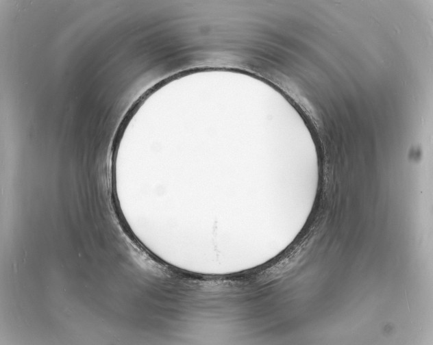 X0000093720988200711131009