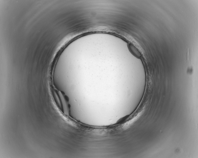 X0000093720989200711131009