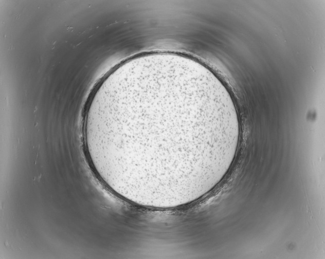 X0000093720990200711131009