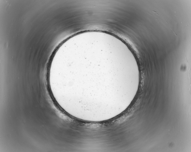 X0000093720991200711131009