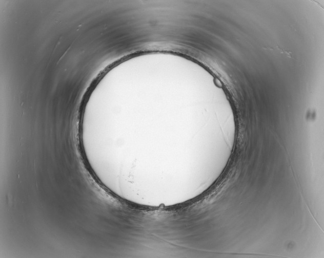 X0000093720992200711131009