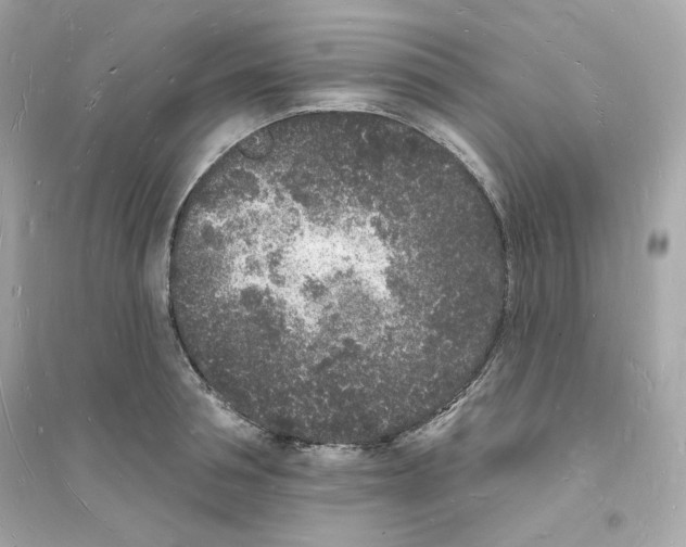 X0000093720994200711131009