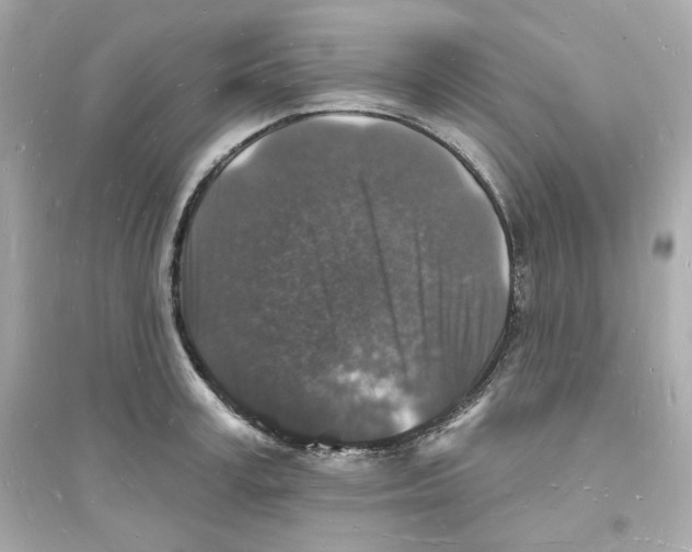 X0000093720995200711131009