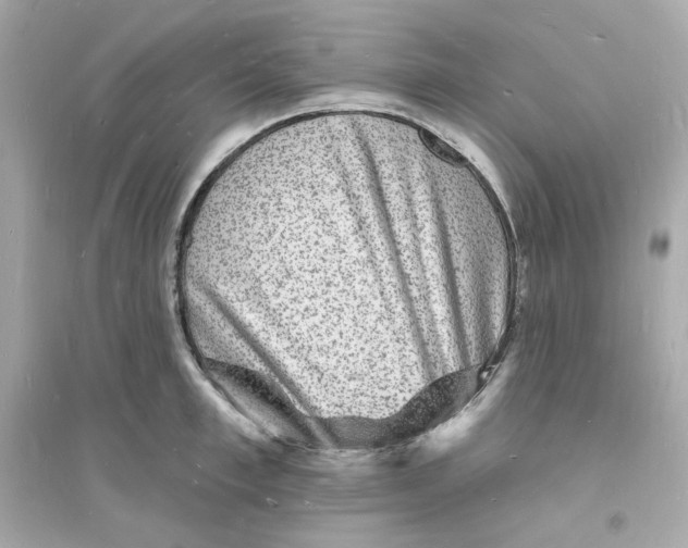 X0000093720997200711131009