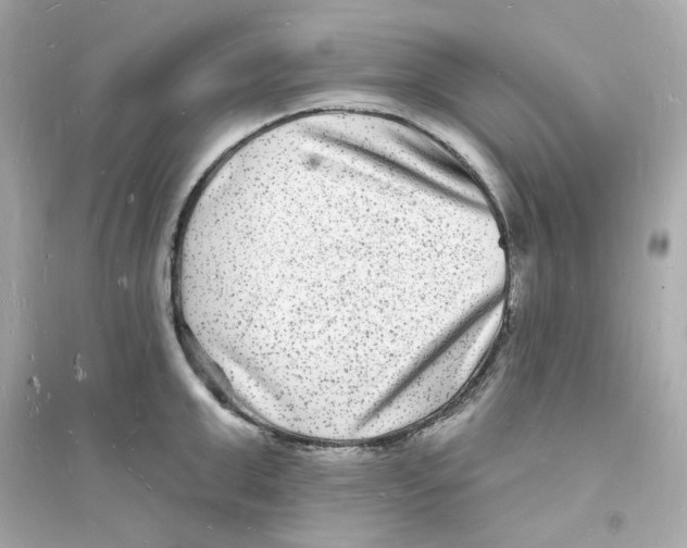 X0000093720999200711131009