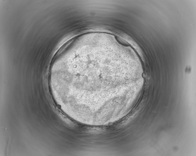 X0000093721002200711131009