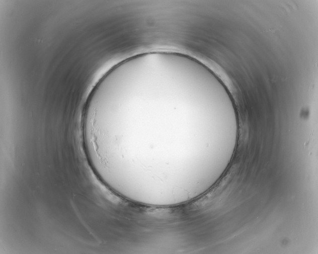 X0000093721006200711131009