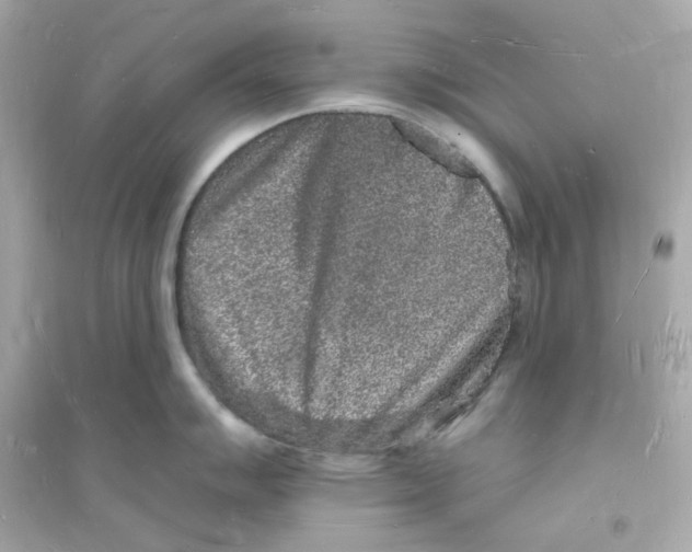 X0000093721007200711131009