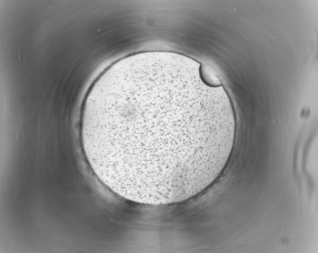 X0000093721008200711131009