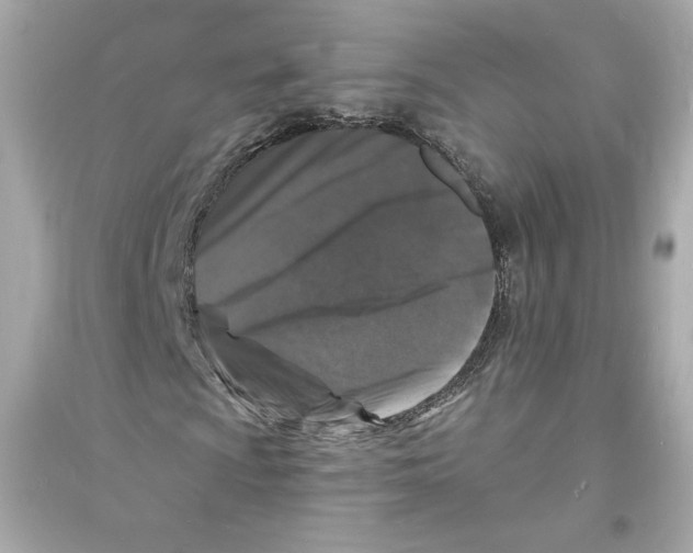 X0000093721009200711131008