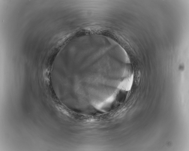 X0000093721010200711131008