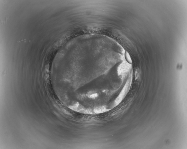 X0000093721011200711131008