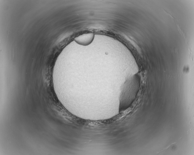 X0000093721015200711131008