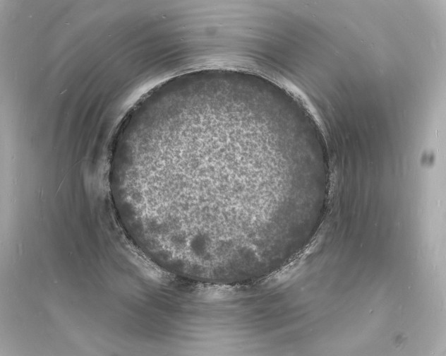 X0000093721019200711131008