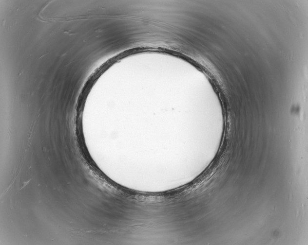 X0000093721020200711131008