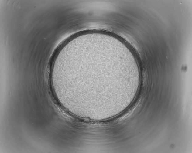 X0000093721021200711131008