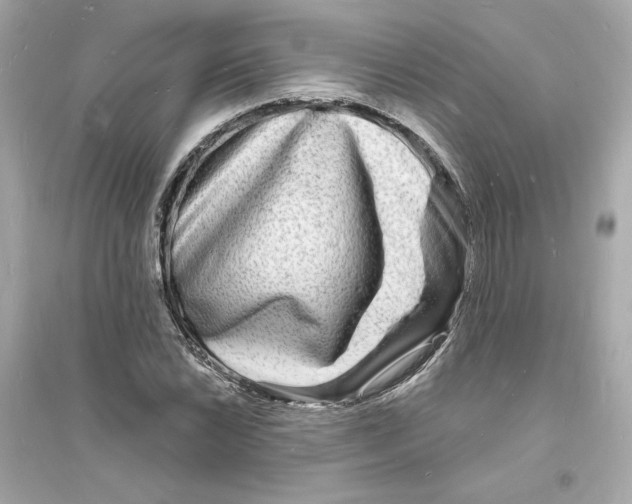 X0000093721022200711131008