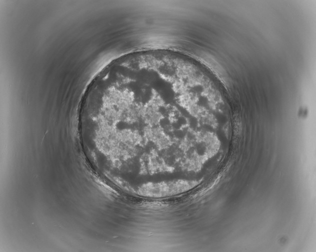 X0000093721023200711131008