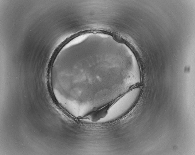 X0000093721024200711131008