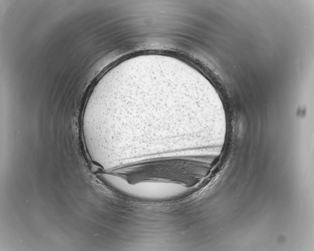 X0000093721025200711131008