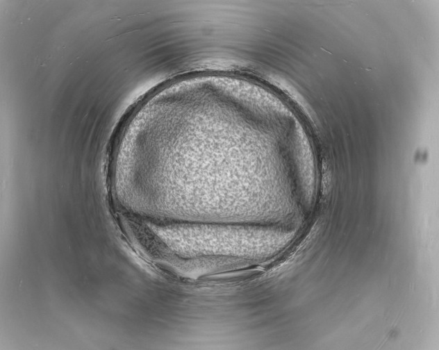 X0000093721026200711131008