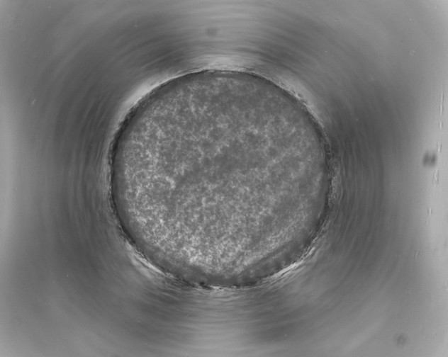 X0000093721027200711131008