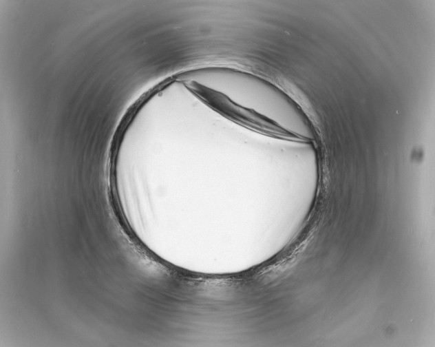 X0000093721028200711131008