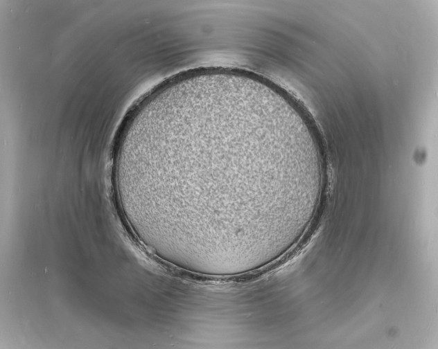 X0000093721029200711131008