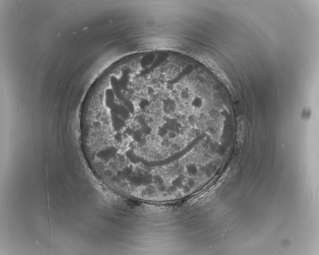 X0000093721031200711131008