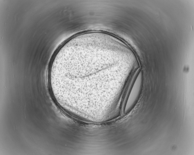 X0000093721032200711131008