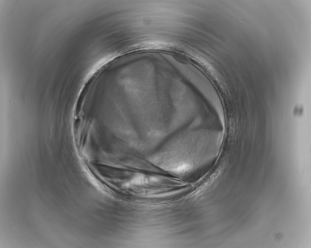 X0000093721034200711131008