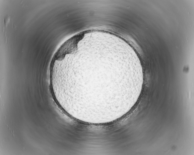 X0000093721036200711131008