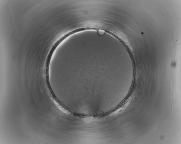 X0000093721037200711131008