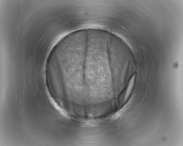 X0000093721038200711131008