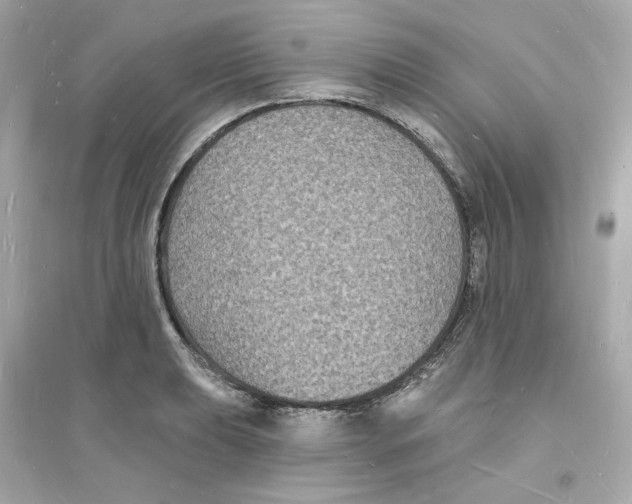 X0000093721039200711131008