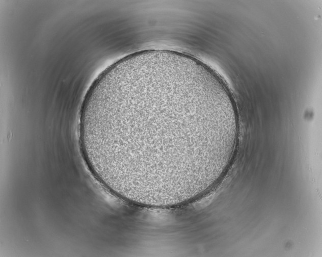 X0000093721040200711131008