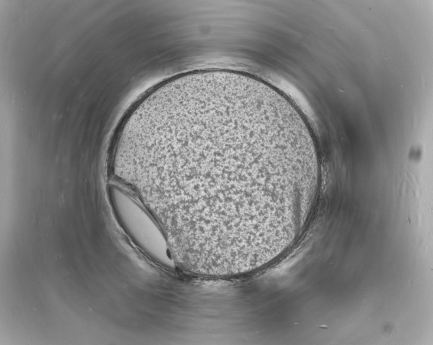 X0000093721043200711131009