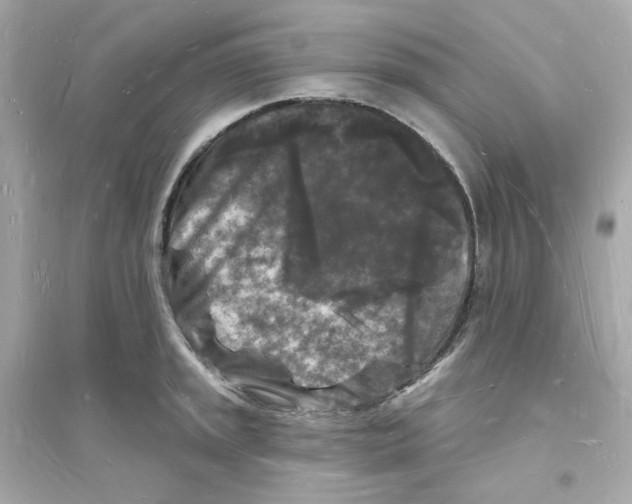 X0000093721045200711131009