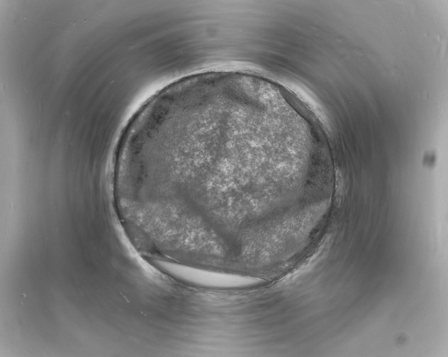 X0000093721046200711131009