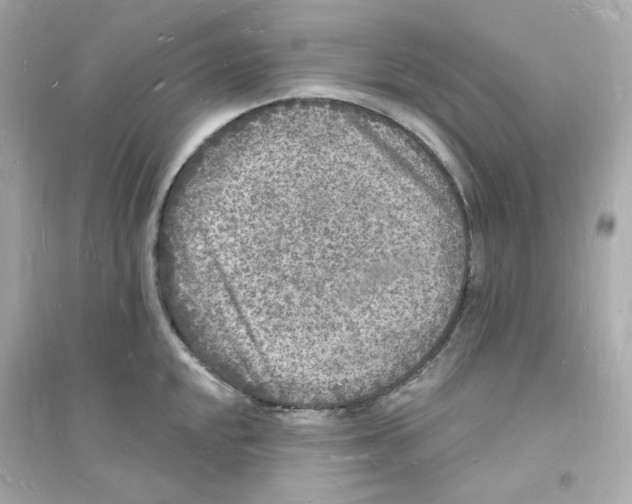 X0000093721048200711131009