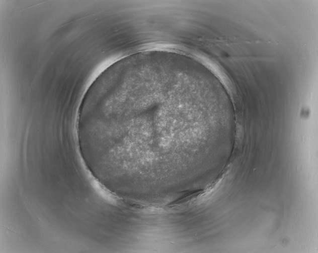 X0000093721050200711131009